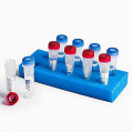 Quanti-Cult Plus Staphylococcus aureus ATCC® 6538