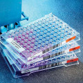 Placas Sensititre Yeast One para CIM de Levaduras para 2 Aislamientos YO2IVD